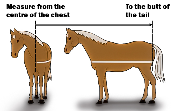 Horse rug measurement guide